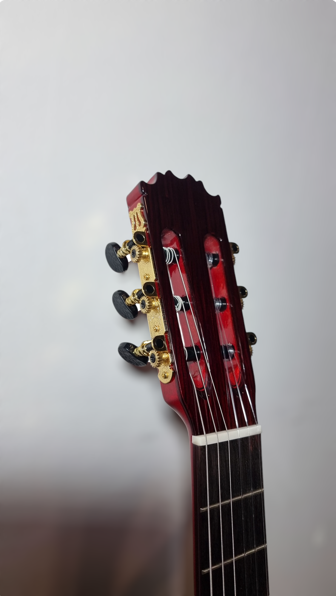 Guitarra Flamenca Modelo SM-21N