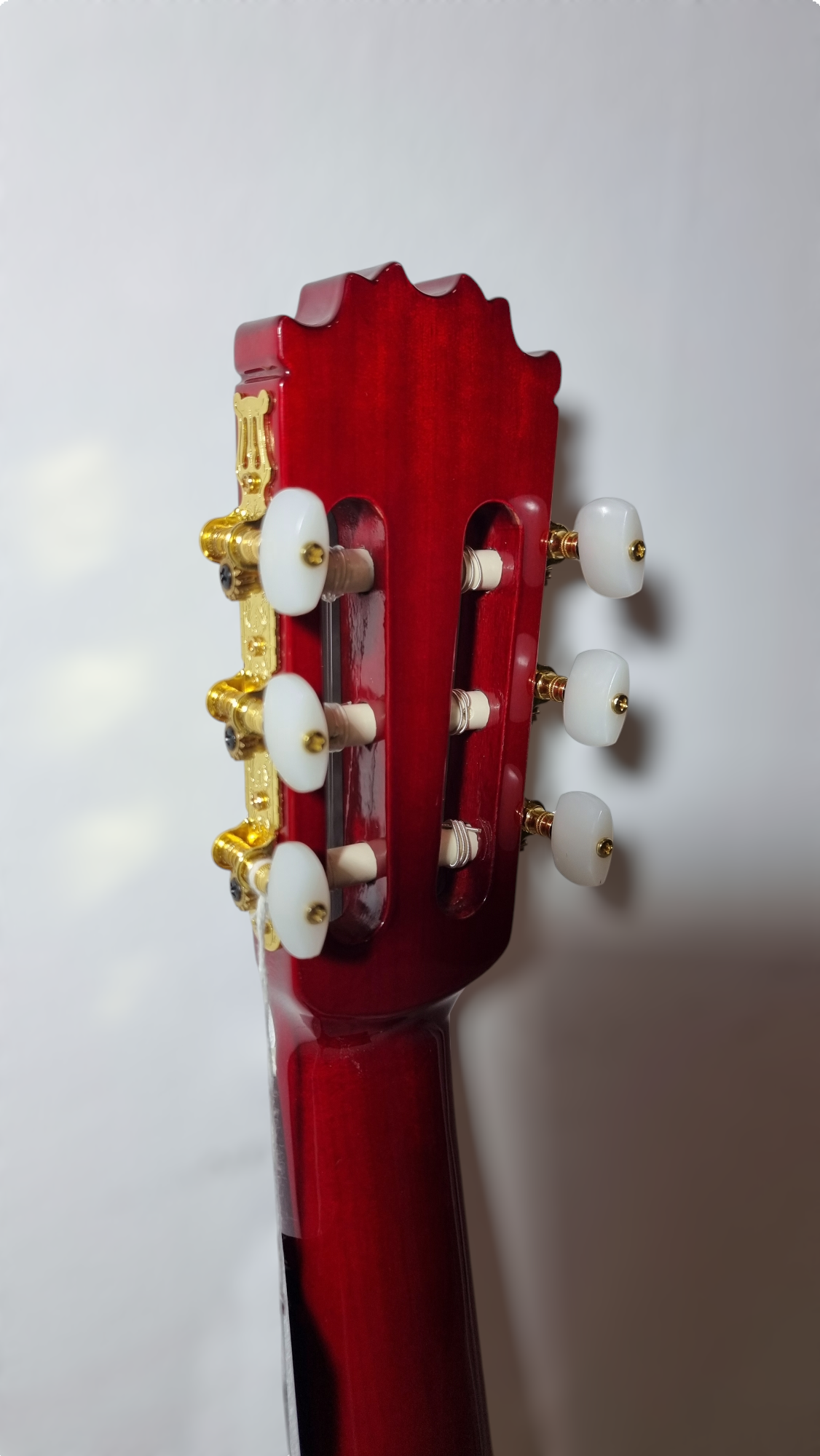 Guitarra Flamenca SM-20N Cutaway