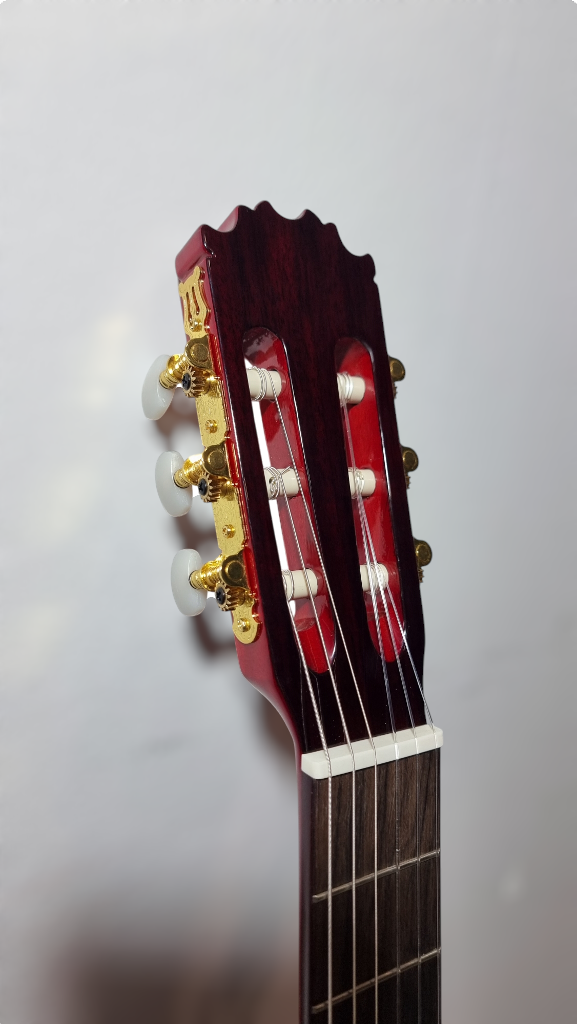 Guitarra Flamenca SM-20N Cutaway