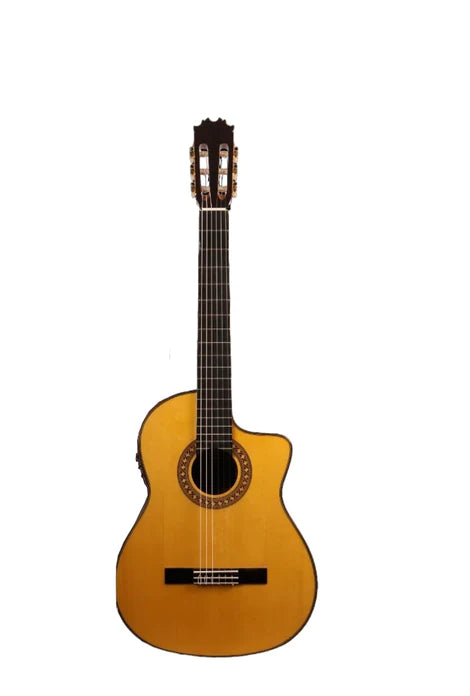 Antonio de Toledo 17 B EQ CUTAWAY Fishman