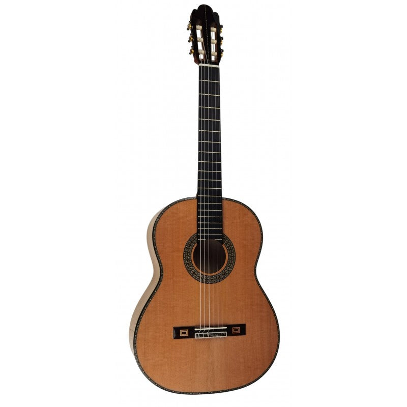 Guitarra Clásica Antonio de Toledo José María Gallardo Del Rey Incluye Estuche de Foam