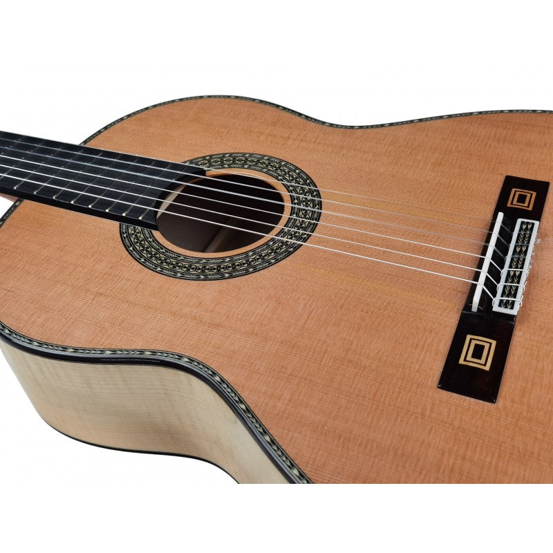 Guitarra Clásica Antonio de Toledo José María Gallardo Del Rey Incluye Estuche de Foam