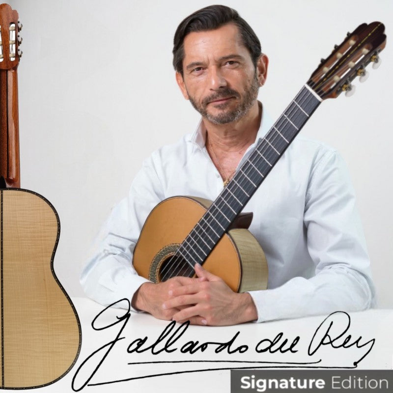Guitarra Clásica Antonio de Toledo José María Gallardo Del Rey Incluye Estuche de Foam