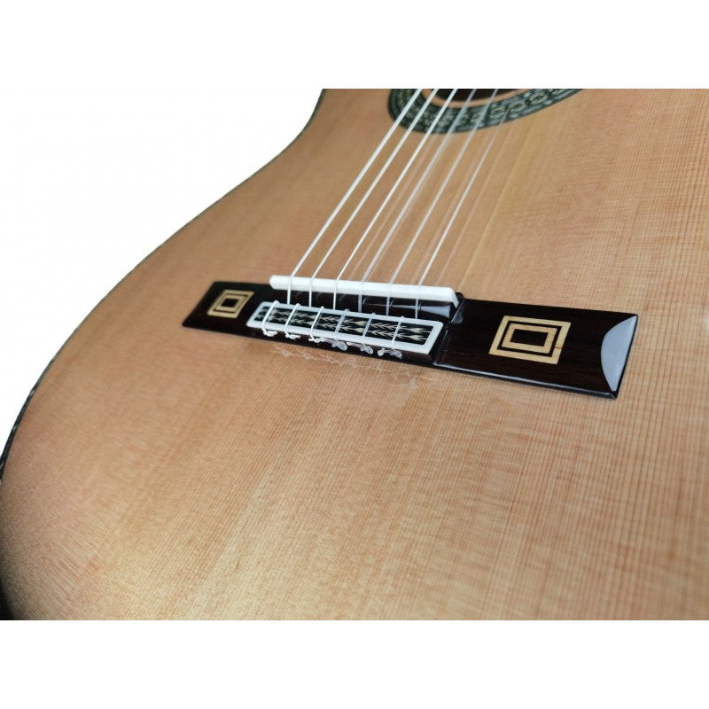 Guitarra Clásica Antonio de Toledo José María Gallardo Del Rey Incluye Estuche de Foam