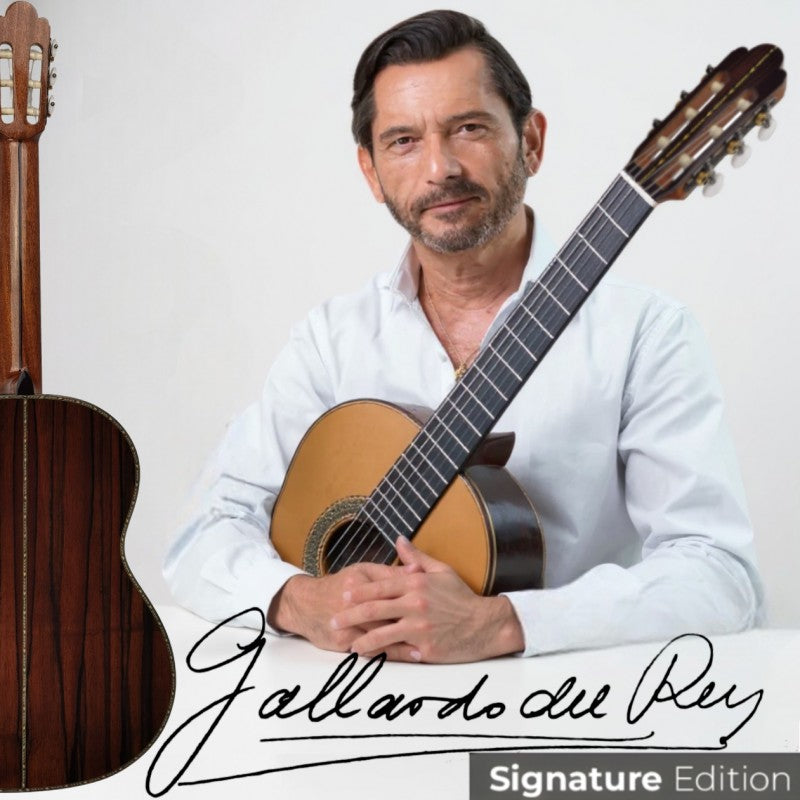 Guitarra Clásica Antonio de Toledo José María Gallardo Del Rey De Palosanto De Patagonia Incluye Estuche de Foam