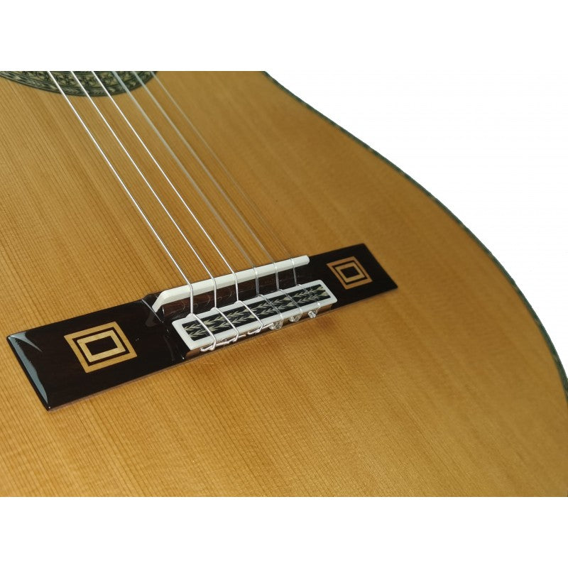 Guitarra Clásica Antonio de Toledo José María Gallardo Del Rey De Palosanto De Patagonia Incluye Estuche de Foam