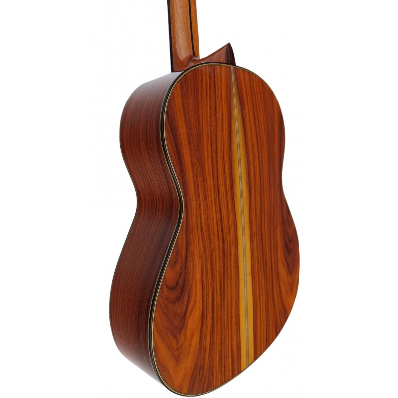 Guitarra Antonio de Toledo AAT-18C