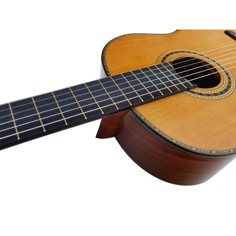 Guitarra Antonio de Toledo AAT-18C