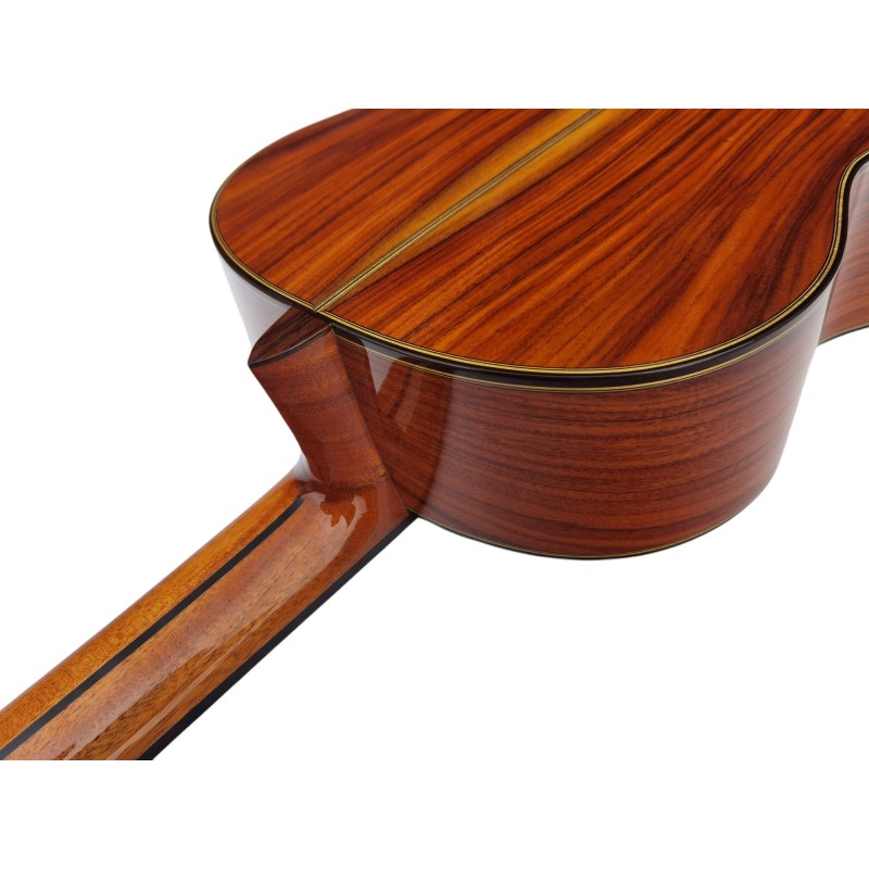 Guitarra Antonio de Toledo AAT-18C
