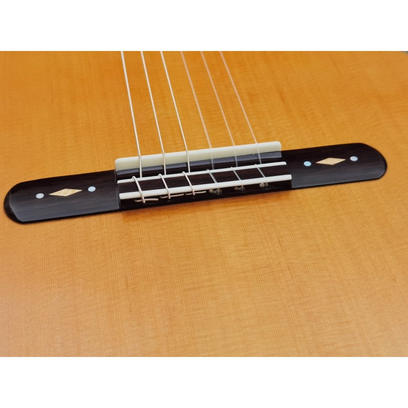 Guitarra Antonio de Toledo AAT-18C