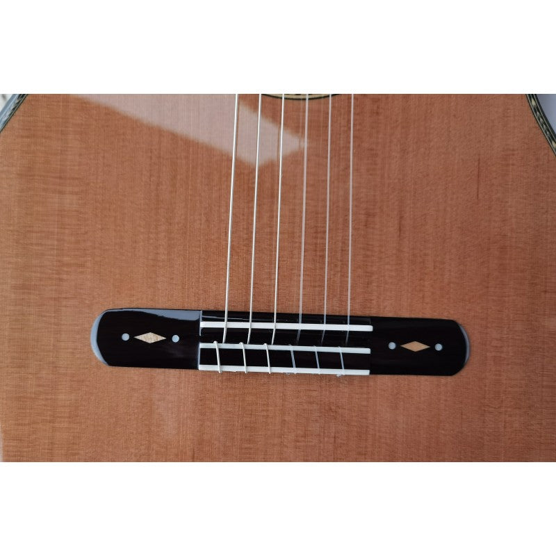 Guitarra Antonio de Toledo AAT-18C