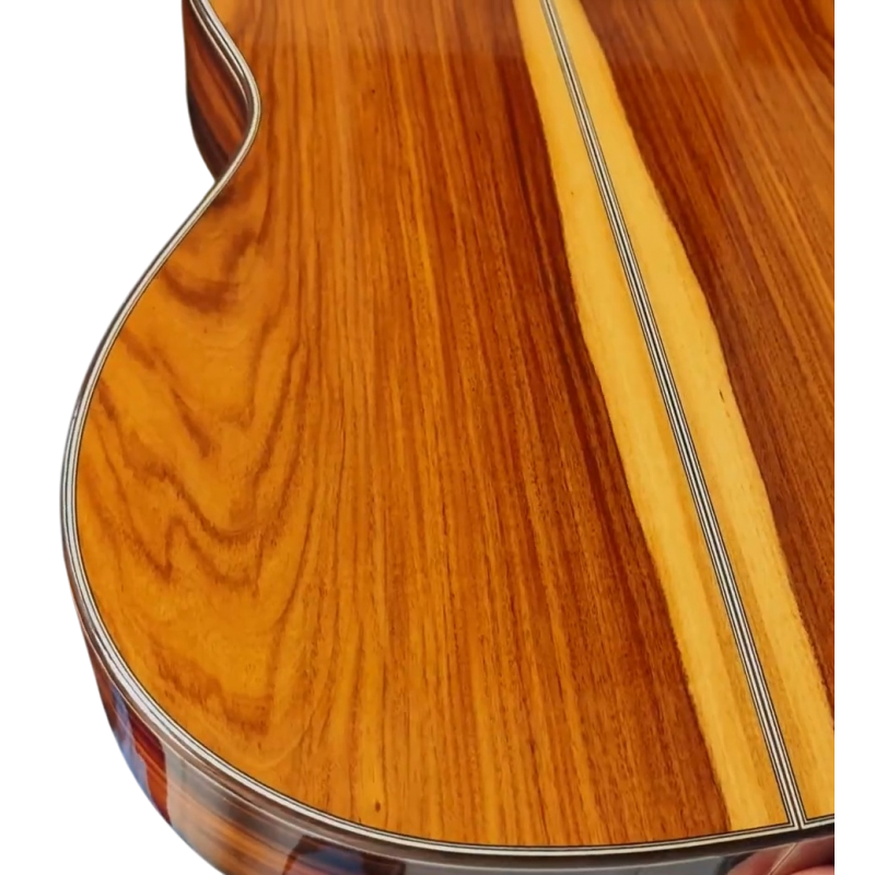 Guitarra Flamenca Antonio De Toledo De Palosanto Pau ferro Modelo Tomatito Andalucia