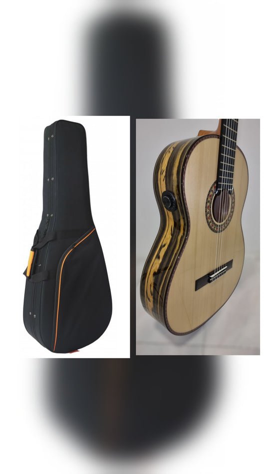 Guitarra Flamenca Antonio De Toledo ATF-17EB CON Previo 0S1