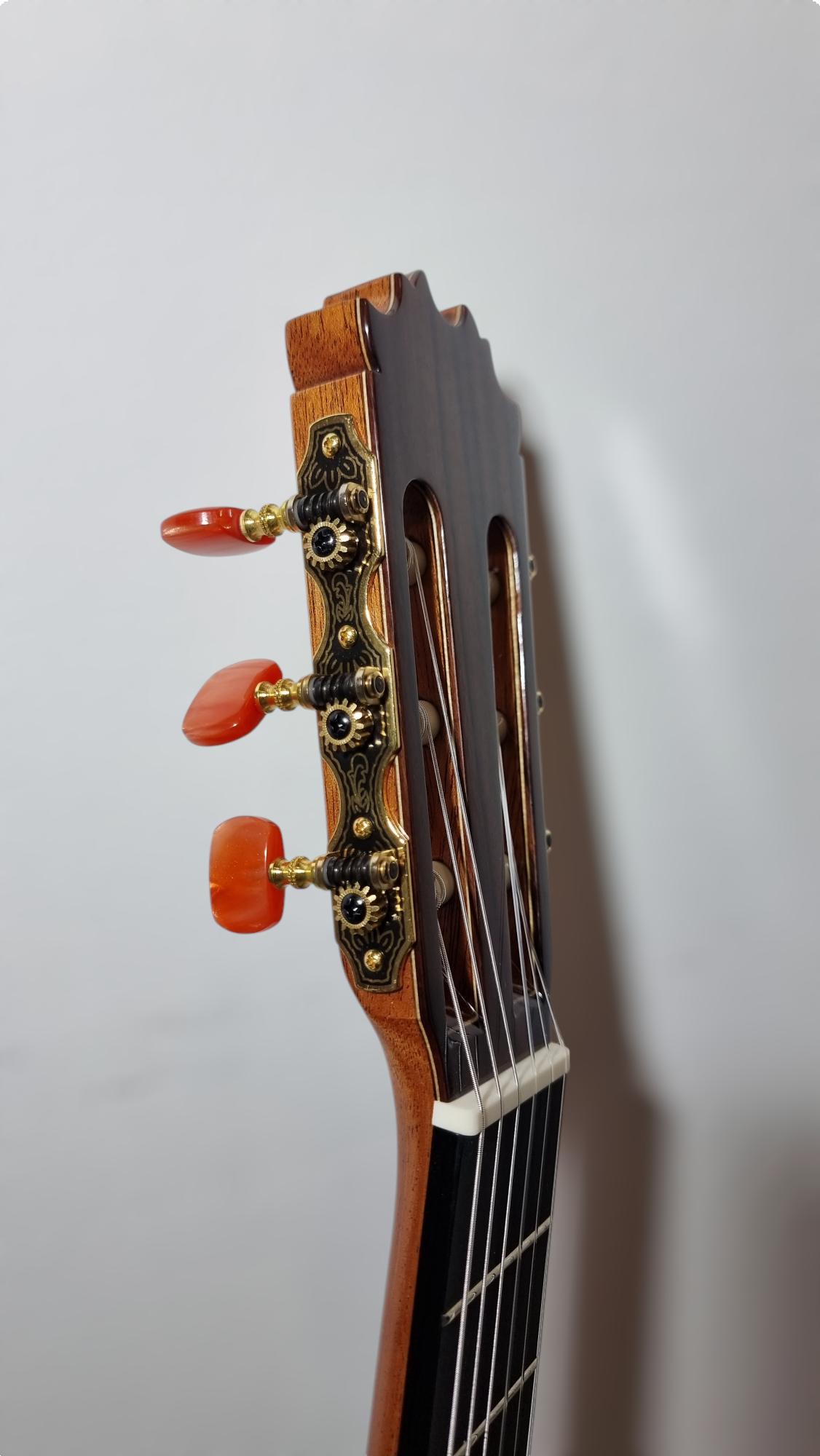 Guitarra Flamenca de Antonio de Toledo ATF-19 de Ziricote Con Previo 0S1