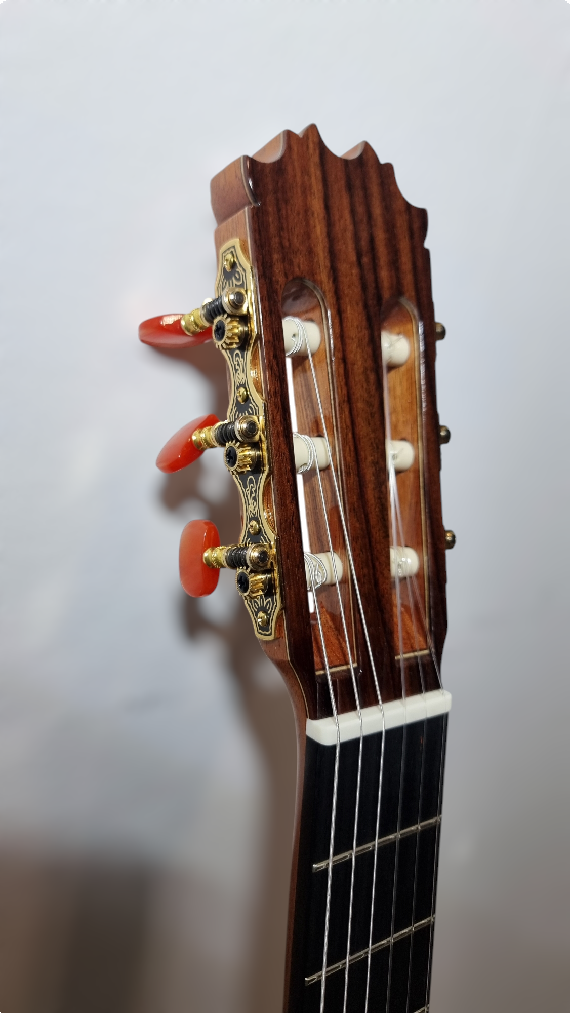 Guitarra Flamenca de Antonio de Toledo ATF-19 de Ziricote Con Previo 0S1