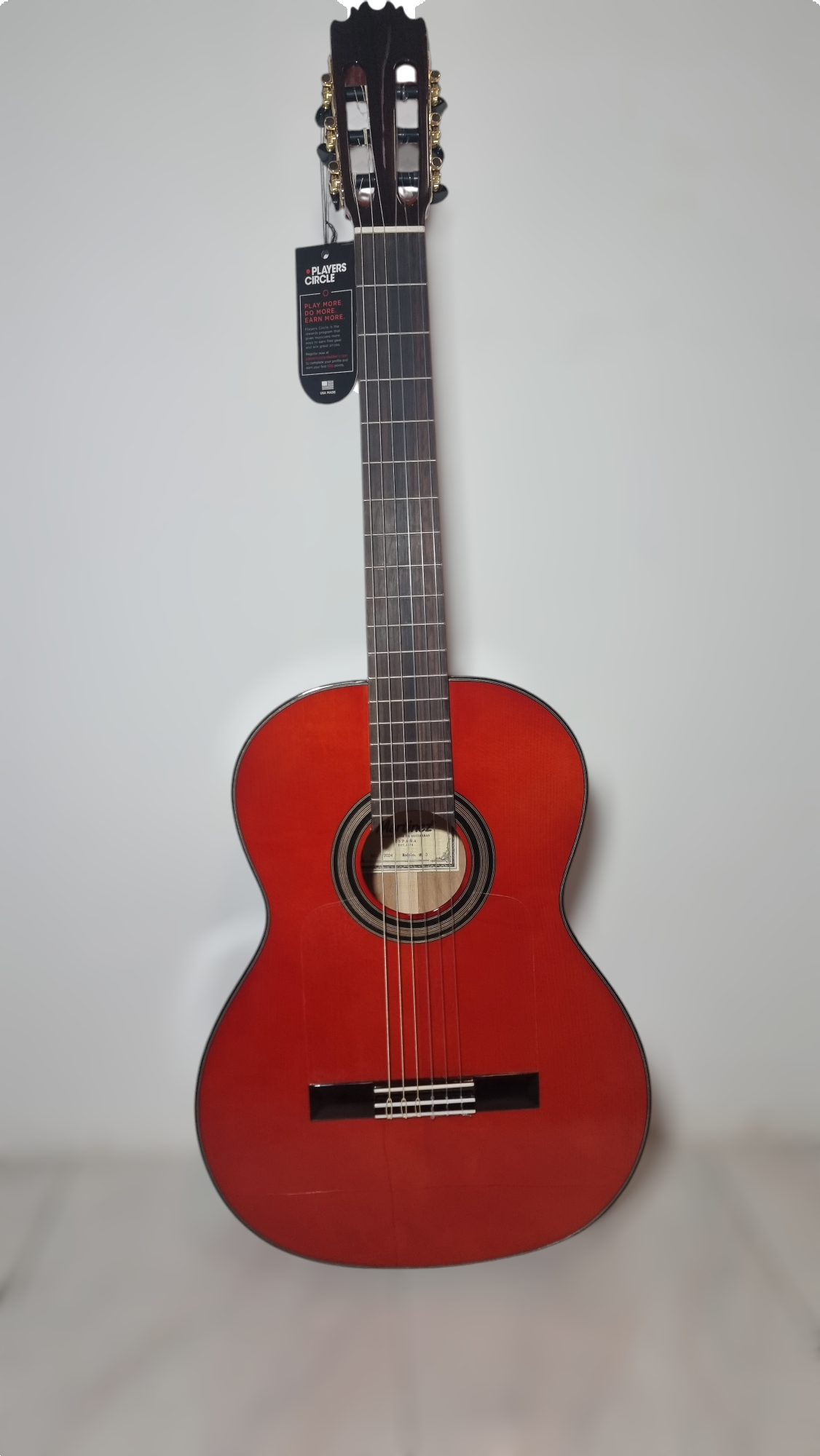 Guitarra Flamenca Martinez MR3 Amplificada