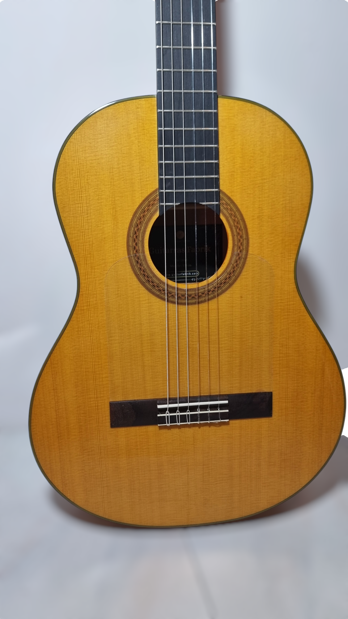 Guitarra Flamenca Modelo TM-26 Con Previo 0S1 + Funda Acolchada