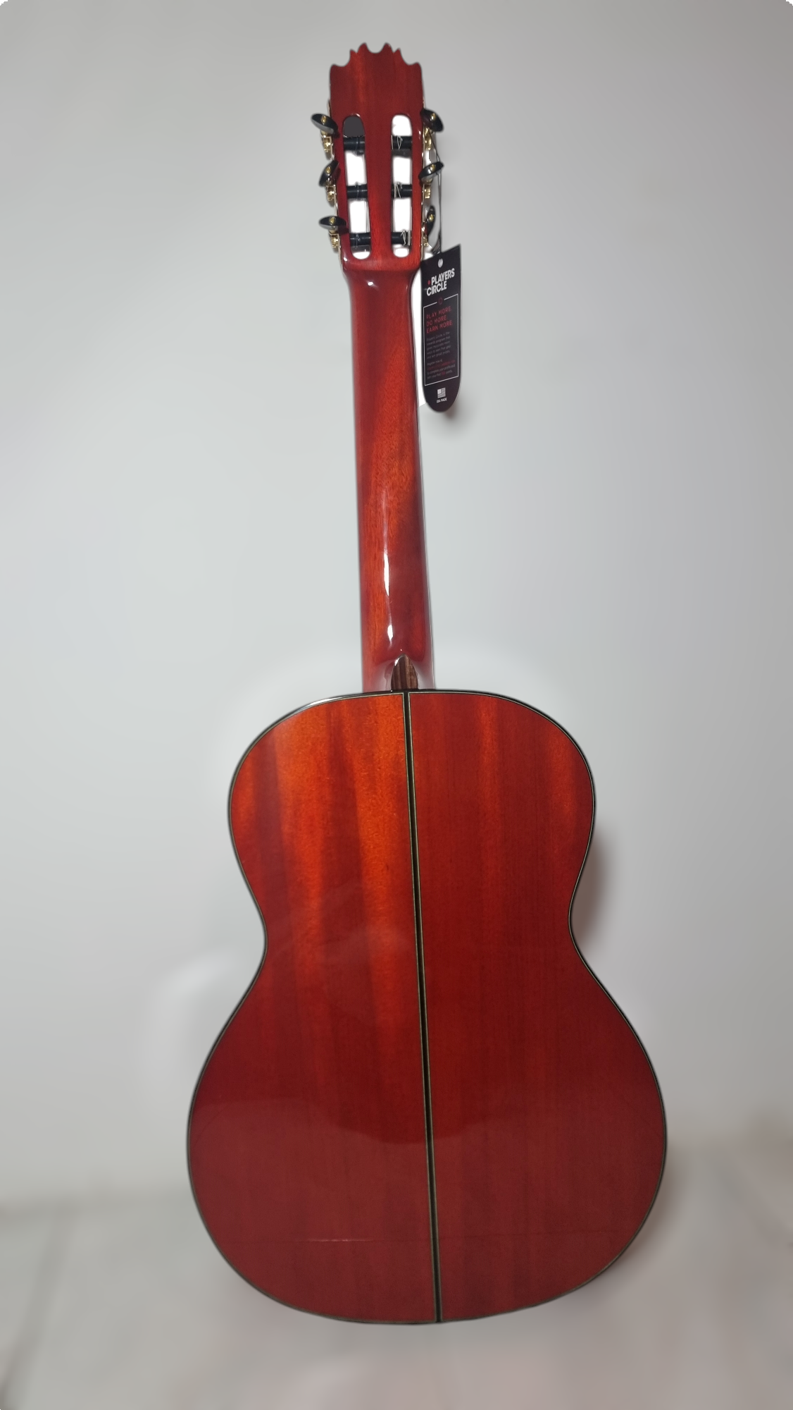 Guitarra Flamenca Martinez MR3 Amplificada