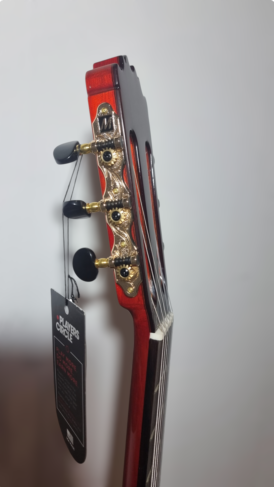 Guitarra Flamenca Martinez MR3 Amplificada