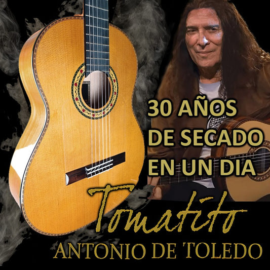 Guitarra Flamenca Antonio De Toledo De Ciprés Modelo Tomatito Andalucia