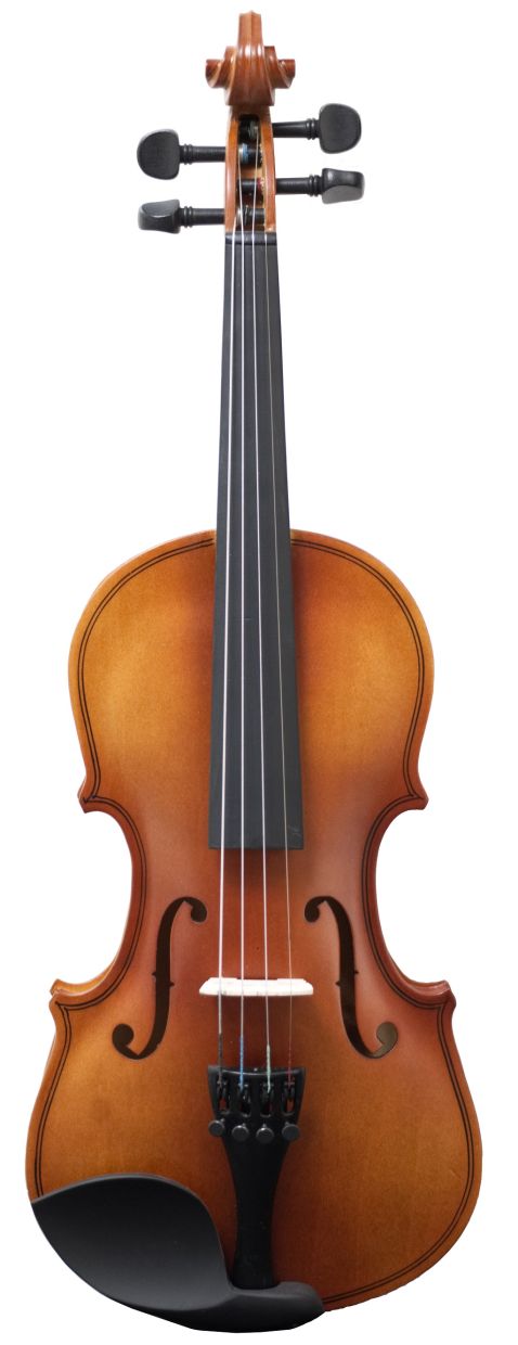 VIOLÍN AMADEUS VA-101 4/4