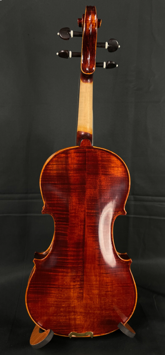 VIOLÍN AMADEUS 4/4 BRILLO VS303E44B