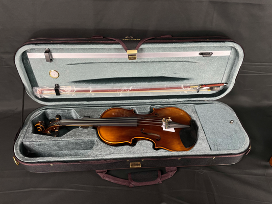 VIOLÍN AMADEUS 4/4 BRILLO VT505E44B